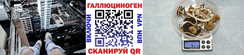 mega ССЫЛКА  Кумертау  Псилоцибиновые грибы Psilocybine cubensis  сколько стоит 